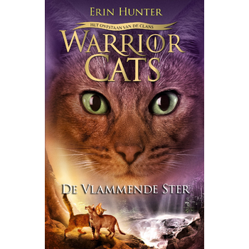 De vlammende ster (Hardback) bij Singel 344
