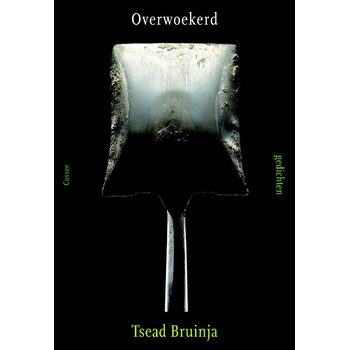 Overwoekerd (Paperback) bij Singel 344