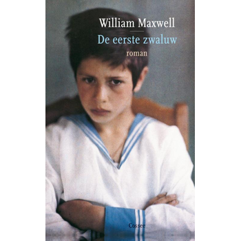 De eerste zwaluw (Hardback) bij Singel 344