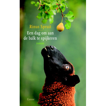Een dag om aan de balk te spijkeren (Paperback) bij Singel 344