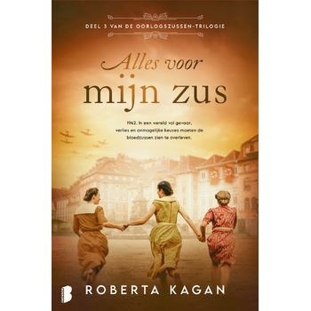 Alles voor mijn zus (Paperback) bij Singel 344