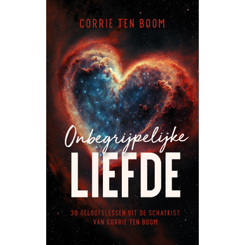 Onbegrijpelijke liefde (Paperback) bij Singel 344