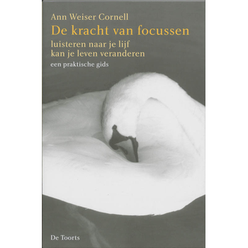 De kracht van focussen (Paperback) bij Singel 344