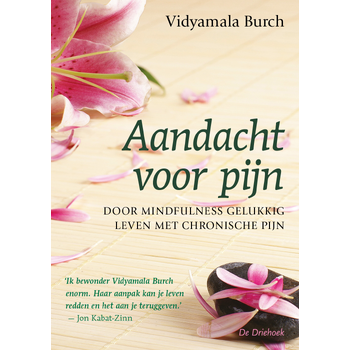 Aandacht voor pijn (Paperback) bij Singel 344