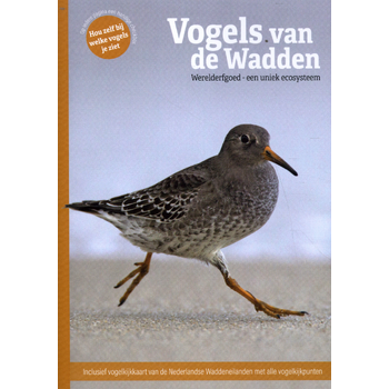 Vogels van de Wadden (Paperback) bij Singel 344