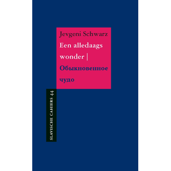 Een alledaags wonder (Paperback) bij Singel 344