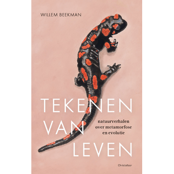 Tekenen van leven (Hardback) bij Singel 344