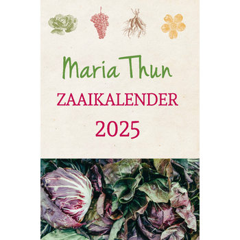 2025 (Paperback) bij Singel 344