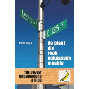 De plaat die rock volwassen maakte (Paperback) bij Singel 344