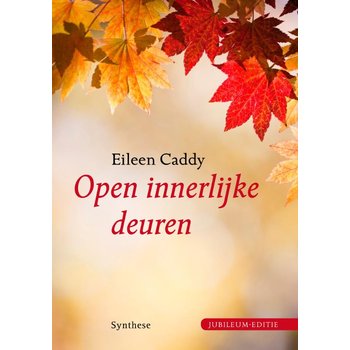 Open innerlijke deuren (Hardback) bij Singel 344
