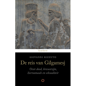 De reis van Gilgamesj (Paperback) van Giovanni Rizzuto