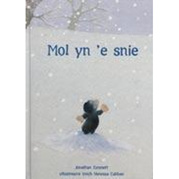 Mol yn 'e snie (Paperback) bij Singel 344