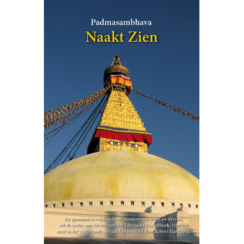 Naakt zien (Hardback) bij Singel 344