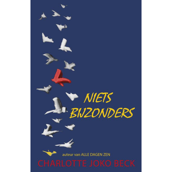 Niets bijzonders (Paperback) bij Singel 344