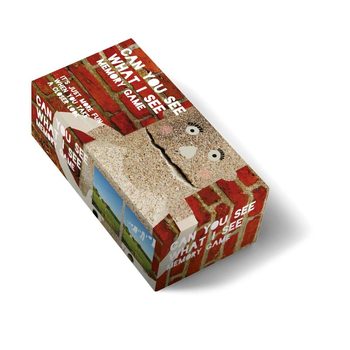 Can you see what I see memory game bij Singel 344