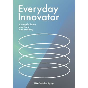 Everyday Innovator (Paperback) bij Singel 344