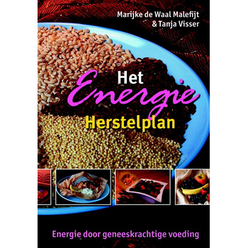 Het Energie Herstelplan (Paperback) bij Singel 344