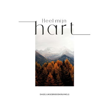 Heel mijn hart (Hardback) bij Singel 344