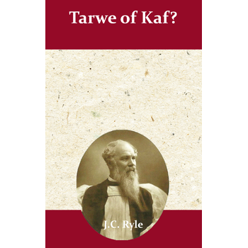 Tarwe of kaf? (Paperback) bij Singel 344