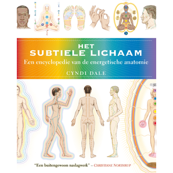 Het subtiele lichaam (Paperback) bij Singel 344
