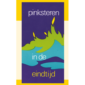 Pinksteren in de eindtijd (Paperback) bij Singel 344