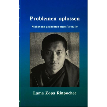 Problemen oplossen (Paperback) bij Singel 344