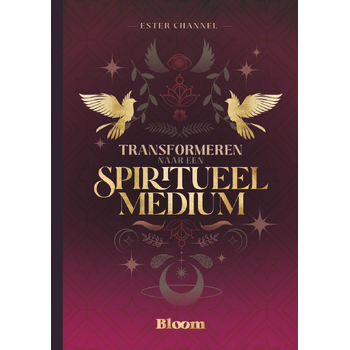 Transformeren naar een spiritueel medium (Paperback) bij Singel 344