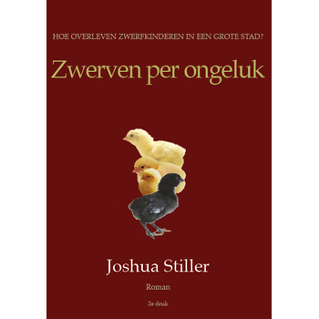 Zwerven per ongeluk (Paperback) bij Singel 344