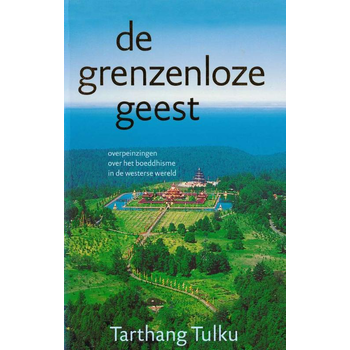De grenzeloze geest (Paperback) bij Singel 344