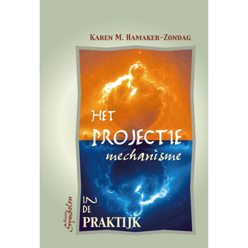 Het projectie mechanisme in de praktijk (Paperback) bij Singel 344