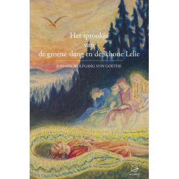 Het sprookje van de groene slang en de schone lelie (Hardback) bij Singel 344