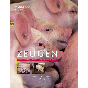 Zeugen (Paperback) bij Singel 344