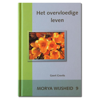 Het overvloedige leven (Hardback) bij Singel 344