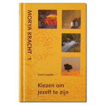 Kiezen om jezelf te zijn (Hardback) bij Singel 344