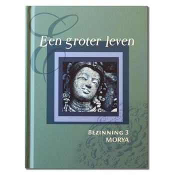 Een groter leven (Hardback) bij Singel 344