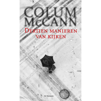 Dertien manieren van kijken (Paperback) bij Singel 344