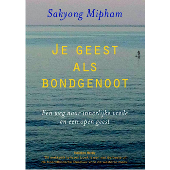 Je geest als bondgenoot (Paperback) bij Singel 344