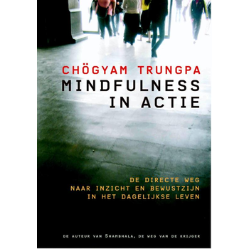 Mindfulness in actie (Paperback) bij Singel 344