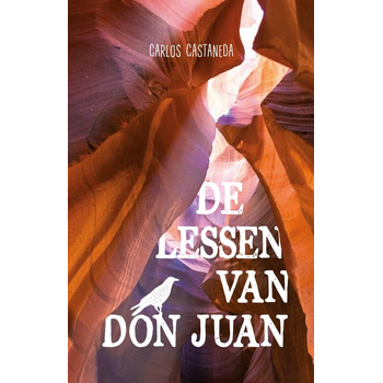De lessen van Don Juan (Paperback) bij Singel 344