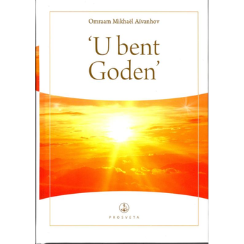 U bent Goden (Hardback) bij Singel 344
