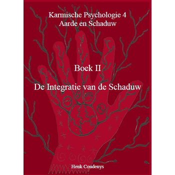 De Integratie van de Schaduw (Paperback) bij Singel 344