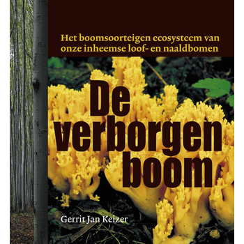 De verborgen boom (Paperback) bij Singel 344