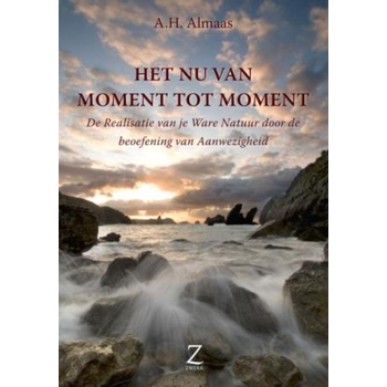 Het Nu van moment tot moment (Paperback) bij Singel 344