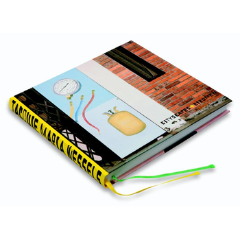 Cityscapes & Birdmen (Hardback) bij Singel 344