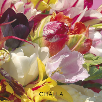 I love tulips (Hardback) bij Singel 344