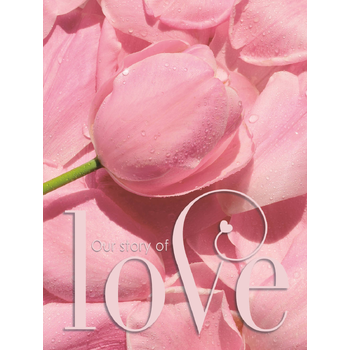 Gastenboek bruiloft LOVE luxe hardcover voor 250 gasten (Hardback) bij Singel 344
