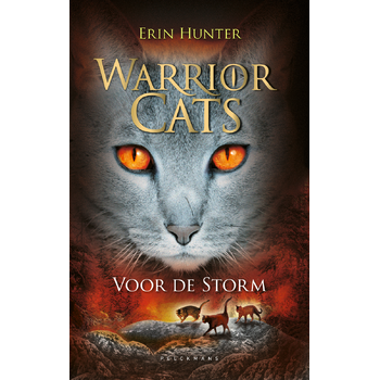 Voor de storm (Hardback) bij Singel 344