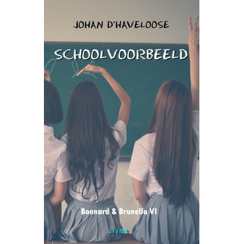 Schoolvoorbeeld (Paperback) bij Singel 344
