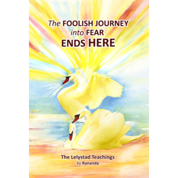 The Foolish Journey into Fear Ends Here (Paperback) bij Singel 344