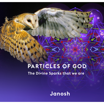 Particles of God (Hardback) bij Singel 344